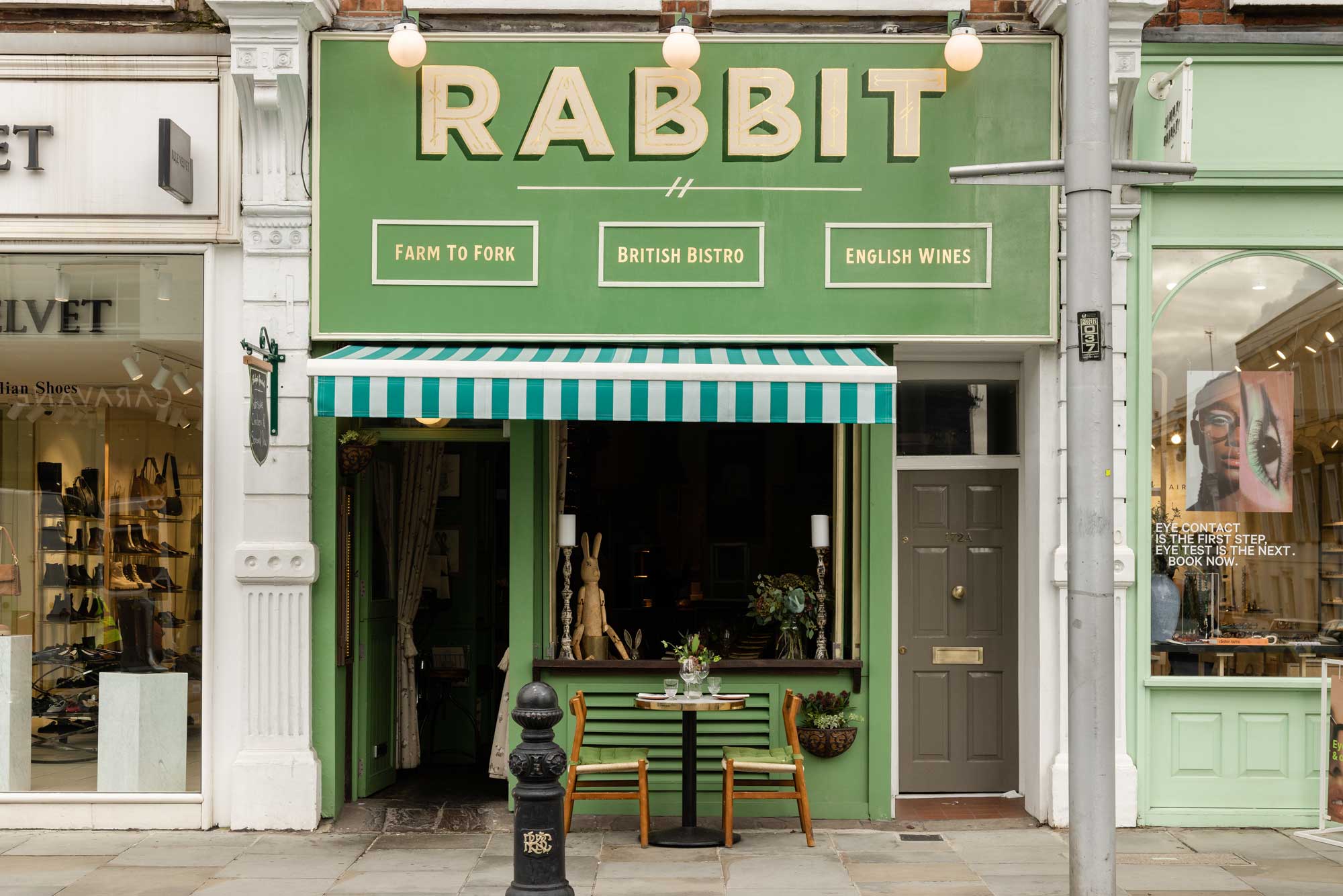 Rabbit